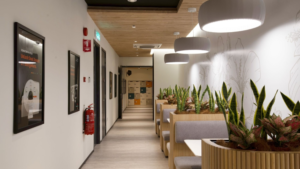 Sustainable Interior Design for Modern Workspaces
