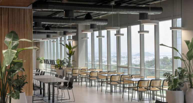 How to Create a Green Office with Sustainable Interiors