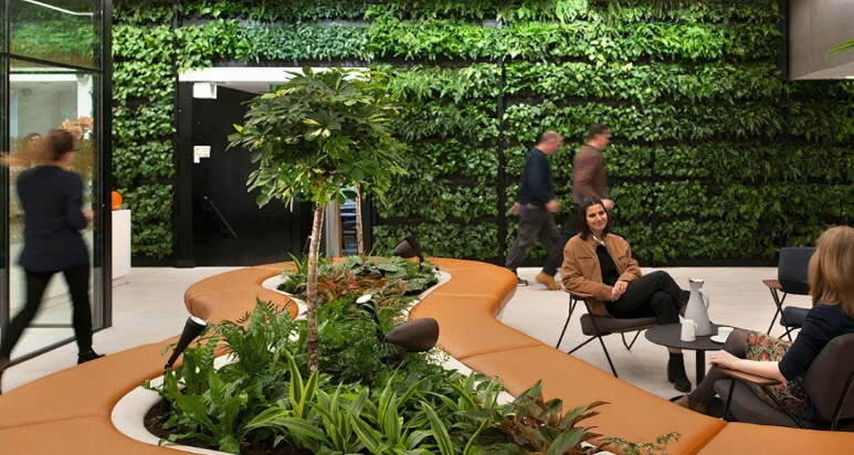Biophilic design brings nature