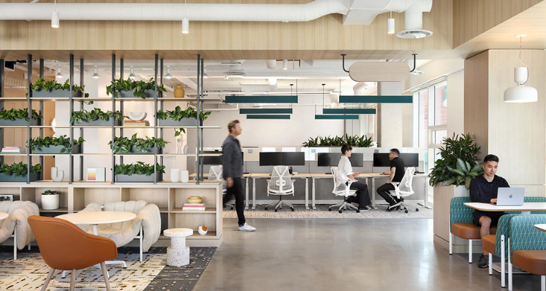 biophilic design to life through indoor plants