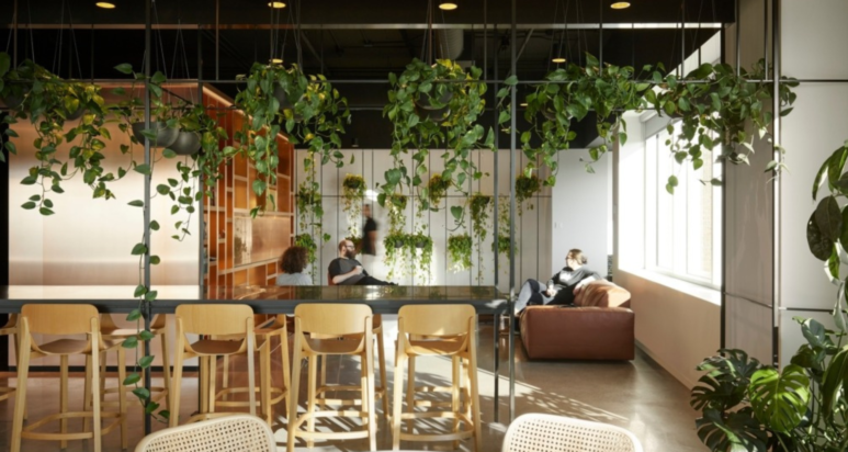Eco-friendly office design